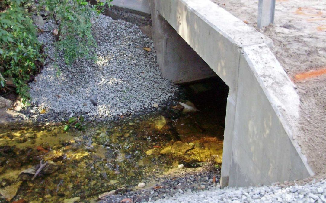 Loquat Bridge Design/Build
